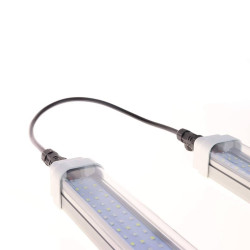 Cable de conexión para SpectraLINE IP65