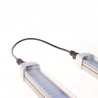 Cable de conexión para SpectraLINE IP65