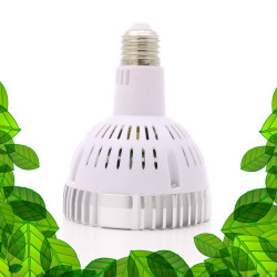 SpectraBULB X20 - Ampoule horticole blanche pour plantes vertes