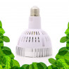 SpectraBULB X20 - Ampoule horticole blanche pour plantes vertes