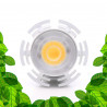 Ampoule GU10 pour plantes vertes, bonsais et cadres végétaux