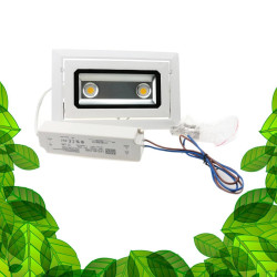 GVL SPOT 40W Encastrable GreenVisuaLED | Éclairage LED Horticole pour Mur Végétal