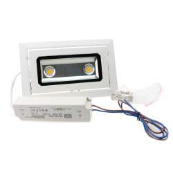 GVL SPOT 40W encastrable - Eclairage encastrable plafond pour l'éclairage de plantes