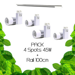 Pack Plantes ou mur végétal 4m² - 4x 45W sur rail 100cm