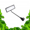 X-WALL - T50 - Spot 50W Horticole sur fixation pour mur végétal
