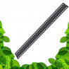 GVL - Barre LED sur Rail 40W - Éclairage Horticole LED pour murs végétaux