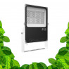 Lampe horticole LED 50W - GVL SPOT V4 - Eclairage pour plantes vertes et murs végétaux