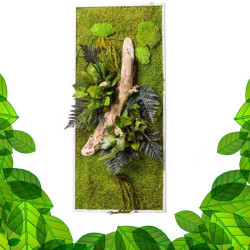 Stabilized Plant Frame - Rectangle Size L