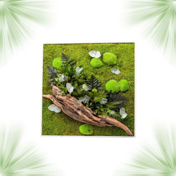 Stabilized Plant Frame - Square Size XL