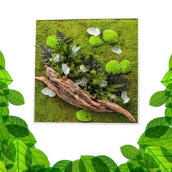 Stabilized Plant Frame - Square Size XL