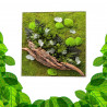 Stabilized Plant Frame - Square Size XL
