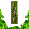 Stabilized Plant Frame - Rectangle Size XL