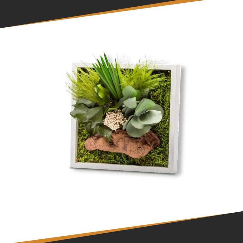Stabilized Plant Frame - Mini Size