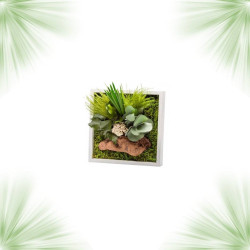 Stabilized Plant Frame - Mini Size