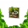 Stabilized Plant Frame - Mini Size
