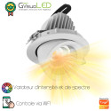 SPOT Encastrable PILOTÉ - LED horticole pour éclairage de murs et surfaces végétalisés - GreenVisuaLED