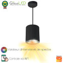 SPOT Suspendu PILOTÉ - LED horticole pour éclairage de murs et surfaces végétalisés - GreenVisuaLED