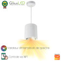 SPOT Suspendu PILOTÉ - LED horticole pour éclairage de murs et surfaces végétalisés - GreenVisuaLED
