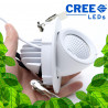 Spot encastrable 12W - LED CREE - 360° pour l'éclairage de tableaux et murs végétaux