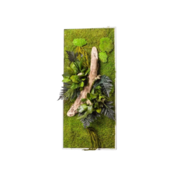 Stabilized Plant Frame - Rectangle Size L