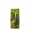 Stabilized Plant Frame - Rectangle Size L