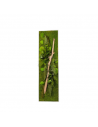 Stabilized Plant Frame - Rectangle Size XL
