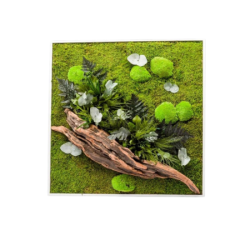 80 x 80 cm – stabilisierter Pflanzenrahmen – quadratische Größe XL
