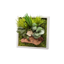 22 x 22 cm – stabilisierter Pflanzenrahmen – Mini-Größe
