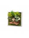 Stabilized Plant Frame - Mini Size