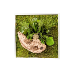 35x35cm - Stabilisierter Pflanzenrahmen - Quadratische