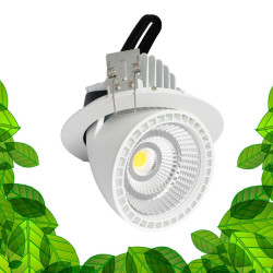Spot encastrable 12W - LED CREE - 360° pour l'éclairage de tableaux et murs végétaux