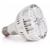 SpectraBULB X30 - Ampoule horticole blanche pour plantes vertes