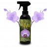 Orchid Focus Myst 100ml