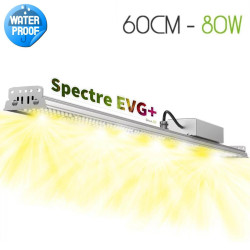 Lampe horticole pour plantes vertes