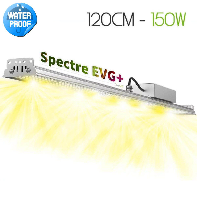 XModule V5 - 150W - 120CM - Iluminación hortícola LED para paredes vegetales y superficies hortícolas