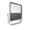 Lámpara hortícola LED 100W - GVL SPOT V4 - Iluminación para plantas verdes y paredes vegetales