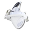 Spot encastrable 12W - LED CREE - 360° pour l'éclairage de tableaux et murs végétaux
