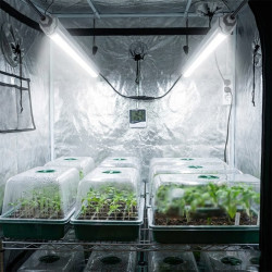 Rampe LED Horticole 60cm/120cm - Pour semis, boutures et début de croissance - IP65