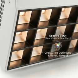 Spot LED Horticole 60W sur Rail – Spectre EVG+ pour Murs Végétaux & Plantes d’Intérieur