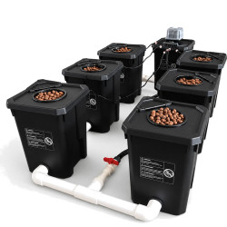 Système RDWC 6×27L – Recirculation Hydroponique Indoor