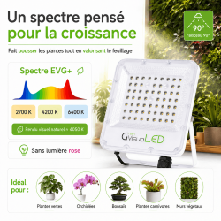 copy of 200W LED horticultural lamp - GVL SPOT V4