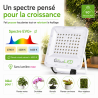 copy of 200W LED horticultural lamp - GVL SPOT V4