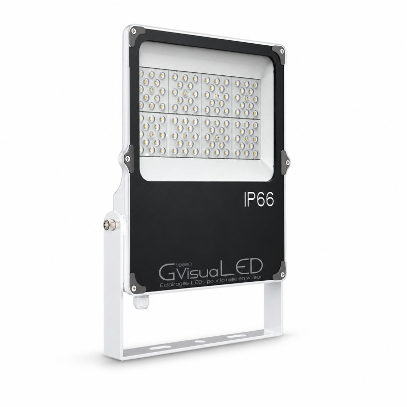 50W LED-Gartenbaulampe - GVL SPOT V4 - Beleuchtung für