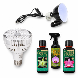 Komplettes Orchideen-Set – GreenVisuaLED –