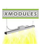XModule