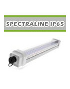 SpectraLINE IP65- GreenVisuaLED
