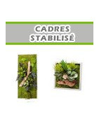 Cadres Stabilisés
