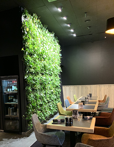Spot encastrable GreenVisuaLED éclairant des plantes au sol et un arbre d’intérieur