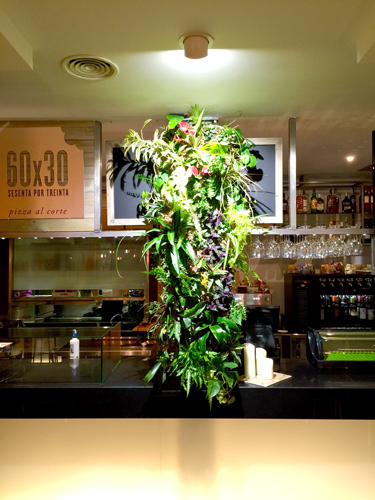 Spot encastrable GreenVisuaLED éclairant un mur végétal intérieur
