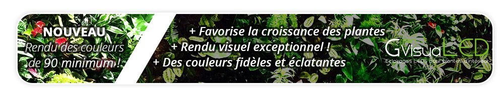 GVL - Barre LED sur Rail 60W - Éclairage Horticole LED pour murs végétaux